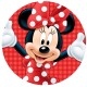 dMi2 Disc vafa Minnie Mouse d14cm